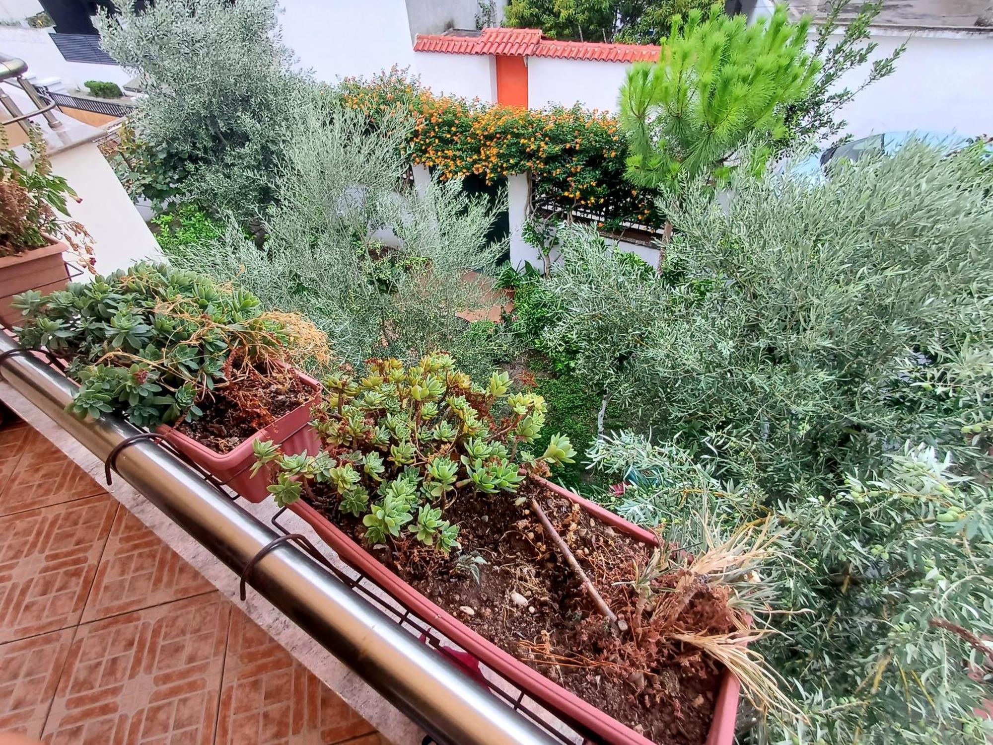 Guest Room Near Historical Center Vlore Exterior photo